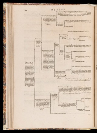 De corporis humani structura et usu libri III. Tabulis methodice explicati, iconibus accurate illustrati / [Felix Platter].