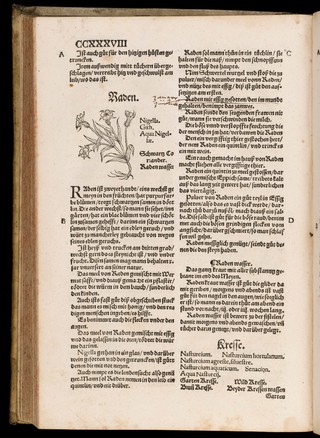 Kreutterbuch. Von aller Kreutter, Gethier, Gesteyne unnd Metal, Natur, Nutz und Gebrauch. Distillier Zeug und Bericht, allerhandt kostbarliche Wasser zubrennen, halten unnd gebrauchen / [Eucharius Rösslin].