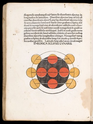 Sphaera mundi / [Joannes de Sacro Bosco].