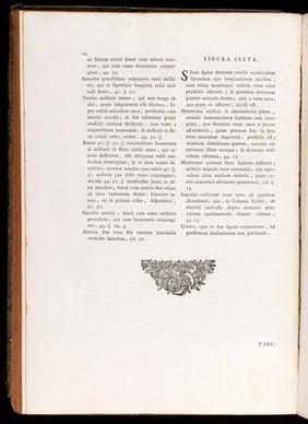 Bartholomaei Eustachii ... Romanae archetypae Tabulae anatomicae / novis explicationibus illustratae ab Andrea Maximino.
