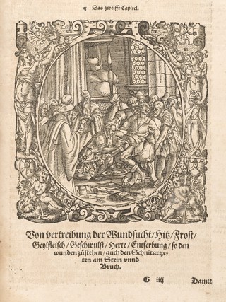 Opus chyrurgicum, des weitberumbten Hochgelehrten und Erfarnen / Aureoli Theophrasti Paracelsi ... Wund und Artzney Buch. Darinnen begriffen welchermassen allerhandt Kränck, Gebresten unnd Mängel, so dem menschlichen Geschlecht täglich zü gewarten, nicht allein innerlich, sonder auch eusserlich, als offne Wunden und Schäden, Gewechsz, Gebresten, Frantzosen, Blatern, Lähme und dergleichen gefährliche Kranckheiten, wie dieselbigen ... in diesem neuwen herrlichen Büch züfinden, ausz Grund der rechten und warhafftigen Kunst der Artzney mögen und sollen curiert und geheylt werden. Sampt vier Büchern wolermeldts Theophrasti Paracelsi so jetzt erst hinzü kommen. Alles ... durch Herrn Adam von Bodenstein ... in Truck geben.