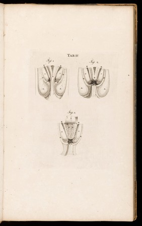 Observations on the structure and functions of the nervous system. Illustrated with tables / By Alexander Monro.