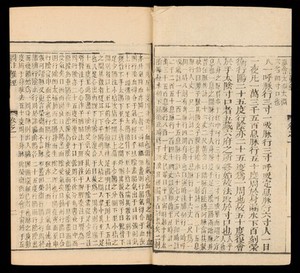 view Pages 2 & 3 of Chinese MS 11 (i)