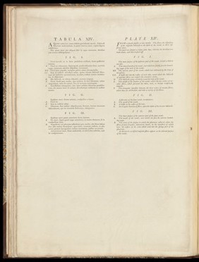 Anatomia uteri humani gravidi tabulis illustrata ... The anatomy of the human gravid uteris exhibited in figures / [William Hunter].