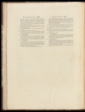 Anatomia uteri humani gravidi tabulis illustrata ... The anatomy of the human gravid uteris exhibited in figures / [William Hunter].