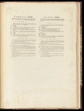 Anatomia uteri humani gravidi tabulis illustrata ... The anatomy of the human gravid uteris exhibited in figures / [William Hunter].