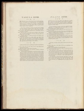 Anatomia uteri humani gravidi tabulis illustrata ... The anatomy of the human gravid uteris exhibited in figures / [William Hunter].