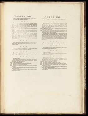 Anatomia uteri humani gravidi tabulis illustrata ... The anatomy of the human gravid uteris exhibited in figures / [William Hunter].