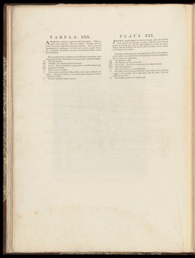 Anatomia uteri humani gravidi tabulis illustrata ... The anatomy of the human gravid uteris exhibited in figures / [William Hunter].