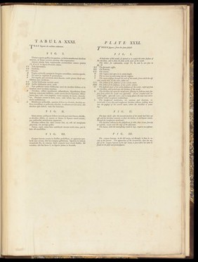 The anatomy of the human gravid uterus exhibited in figures, - text to Plate XXXI