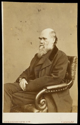 Charles Robert Darwin. Photograph by the London Stereoscopic & Photographic Company.