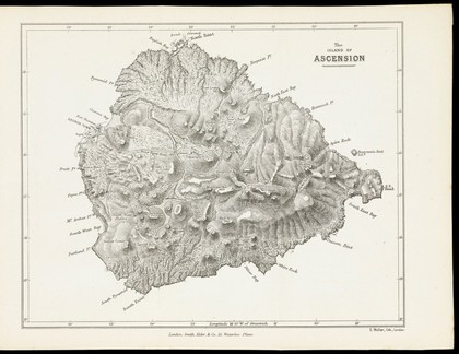 Map of the island of Ascension.