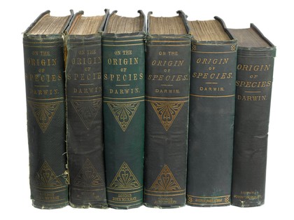 The origin of species by means of natural selection, or The preservation of favoured races in the struggle for life / by Charles Darwin.