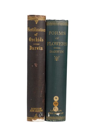 On the various contrivances by which British and foreign orchids are fertilised by insects : and on the good effects of intercrossing / by Charles Darwin.