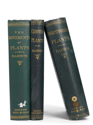 The power of movement in plants / Assisted by Francis Darwin.