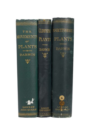 The power of movement in plants / Assisted by Francis Darwin.