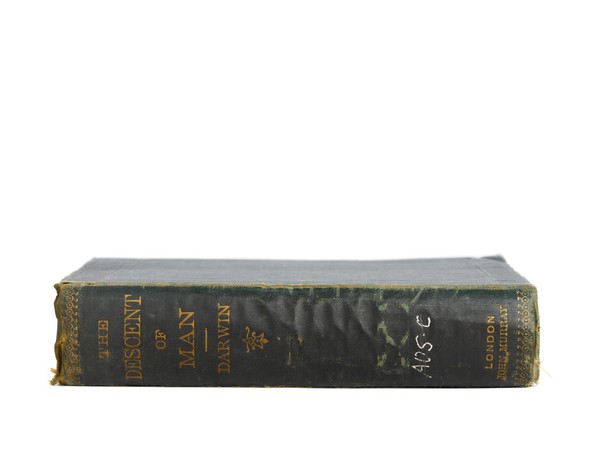 The descent of man, and selection in relation to sex / by Charles Darwin, with illustrations.