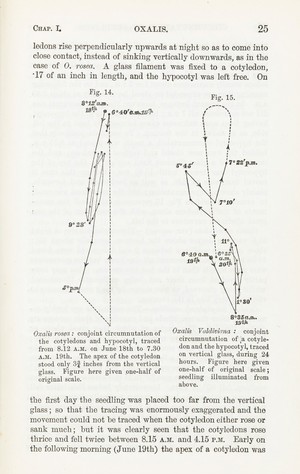 view Diagram from chapter 1 'Oxalis', in Darwin's 'The power of ..