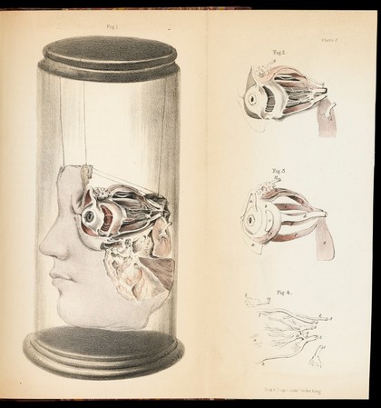 The transactions of the Provincial Medical and Surgical Association.