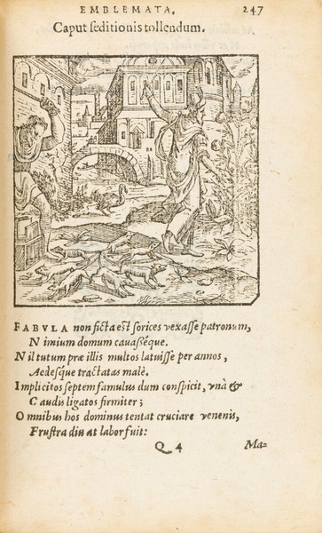 Illustration of the rat king