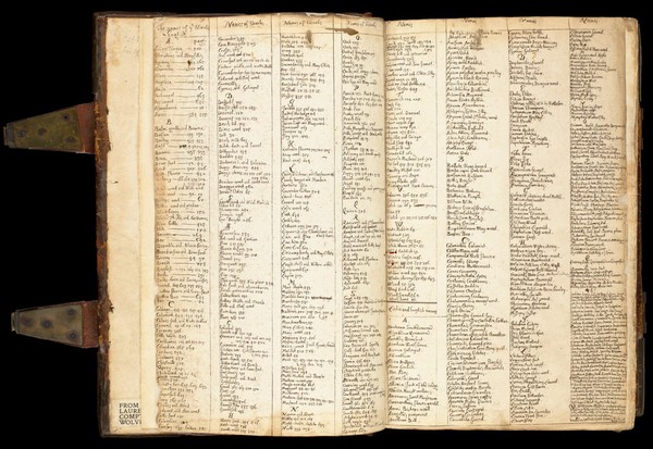 De historia stirpivm commentarii insignes ... adiectis eorvndem vivis plvsqvam quingentis imaginibus ... Accessit ... uocum difficilium & obscurarum passim in hoc opere ocurrentium explicatio ... / [Leonhard Fuchs].