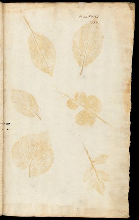 De historia stirpivm commentarii insignes ... adiectis eorvndem vivis plvsqvam quingentis imaginibus ... Accessit ... uocum difficilium & obscurarum passim in hoc opere ocurrentium explicatio ... / [Leonhard Fuchs].