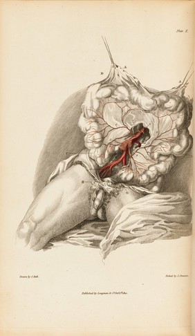 Engravings of the arteries, illustrating the second volume of The anatomy of the human body, and serving as an introduction to The surgery of the arteries / By Charles Bell.