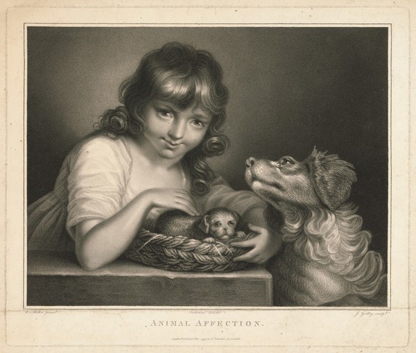 A girl stroking a puppy, and being nudged with affection by the puppy's mother. Stipple engraving by J. Godby, 1799, after G. Testolini after W. Miller.