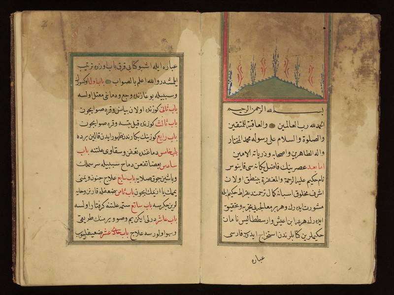 Turkish Manuscript 18 Wellcome Collection