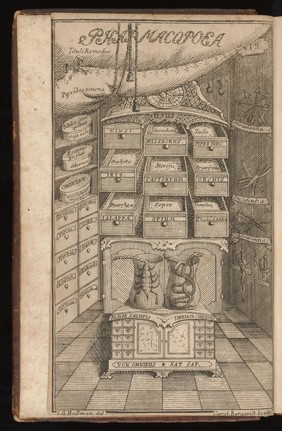 Materia medica, liber I. De plantis. Secundum genera, loca, nomina, qualitates, vires, differentias, durationes, simplicia, modos, usus, synonyma, culturas, praeparata, potentias, composita, digestus / [Carl von Linné].