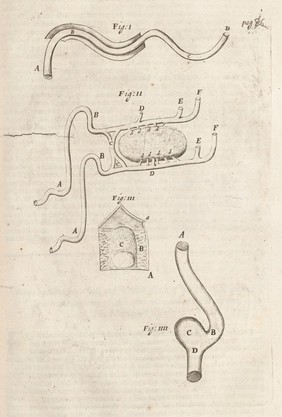 The remaining medical works of that famous and renowned physician Dr Thomas Willis ... : With large alphabetical tables for the whole, and an index for the explaining all the hard and unusual words and terms of art, derived from the Latine, Greek, or other languages, for the benefit of the meer English reader, and meanest capacity. With eighteen copper plates / Englished by S.P. [i.e. Samuel Pordage].