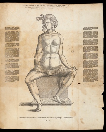 Interiorum corporis humani partium viva delineatio.