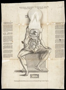 Anatomical fugitive sheets