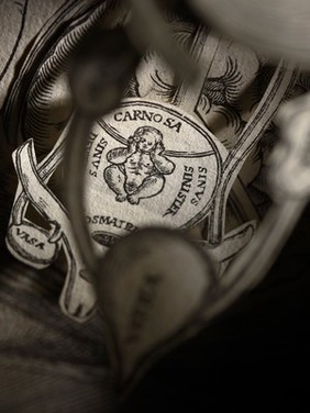 Anatomical fugitive sheets