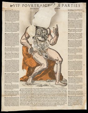 Anatomical fugitive sheets