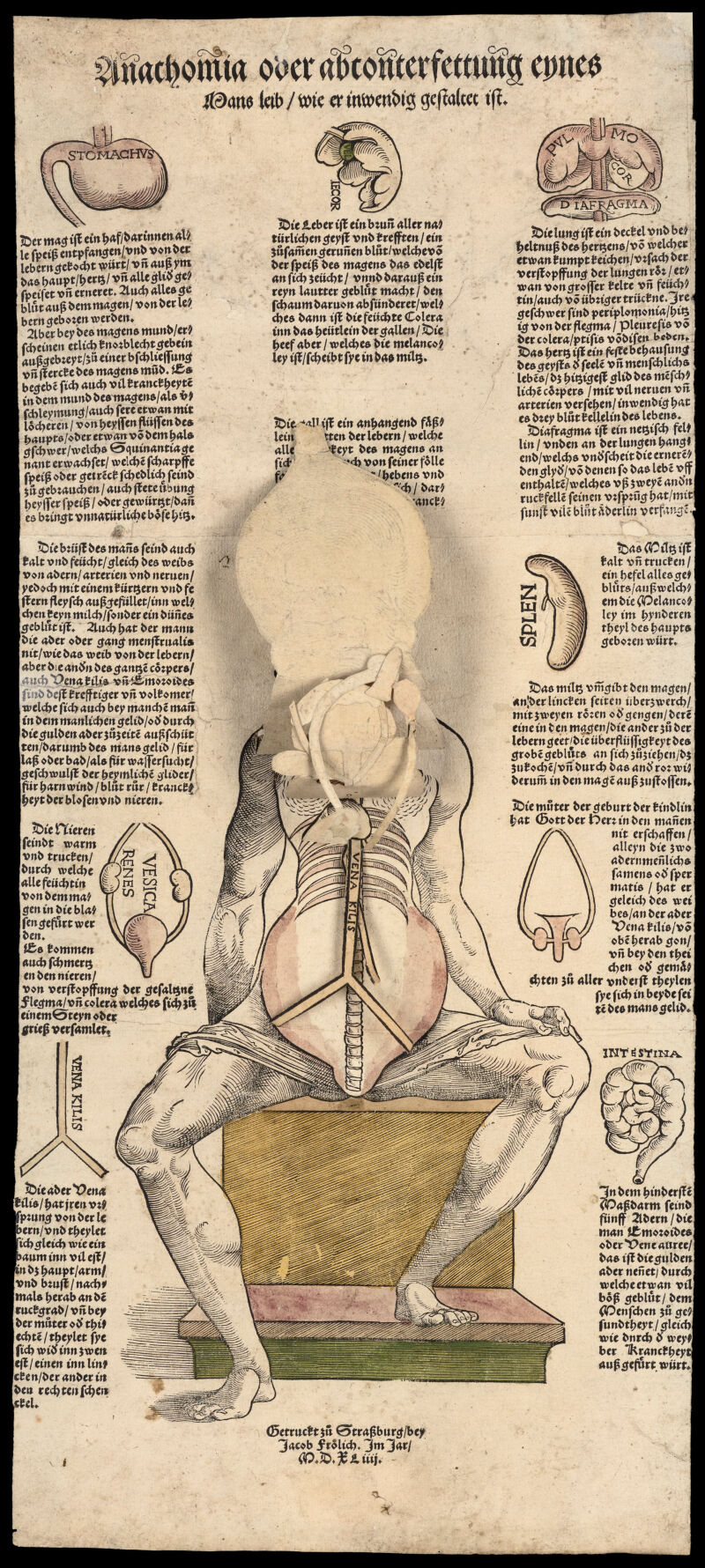 "Heinrich Vogtherr, *Anathomia oder Abconterfettung eynes Mans Leib, wie er inwendig gestaltet ist* (Augsburg: Jost de Negker, 1539; Nürnberg: Guldenmundt, ca. 1540; Straßburg 1544 - shown here -; Nürnberg: Weigel 1556 und 1570). Wellcome Collection"