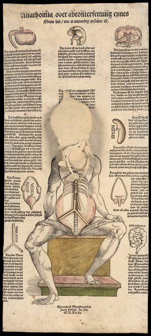 view Anatomical fugitive sheets