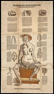 Anatomical fugitive sheets