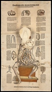 Anatomical fugitive sheets