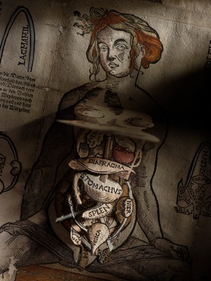 view Anatomical fugitive sheets