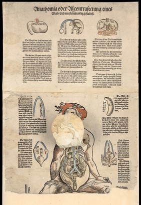 Anatomical fugitive sheets