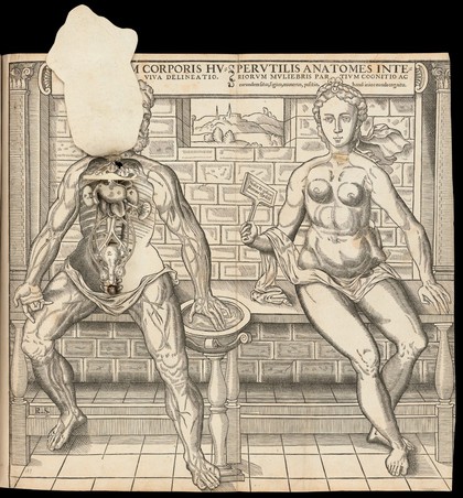 Interiorum corporis humani partium viva delineatio. : Perutilis anatomes interiorum muliebris partium cognitio ac earundem situs, figura, numerus, positio, hand [sic] iniucounda cognitu.