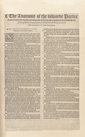 Interiorum corporis humani partium viva delineatio. : Perutilis anatomes interiorum muliebris partium cognitio ac earundem situs, figura, numerus, positio, hand [sic] iniucounda cognitu.