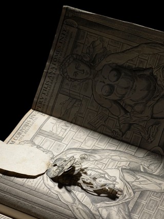 Interiorum corporis humani partium viva delineatio. : Perutilis anatomes interiorum muliebris partium cognitio ac earundem situs, figura, numerus, positio, hand [sic] iniucounda cognitu.