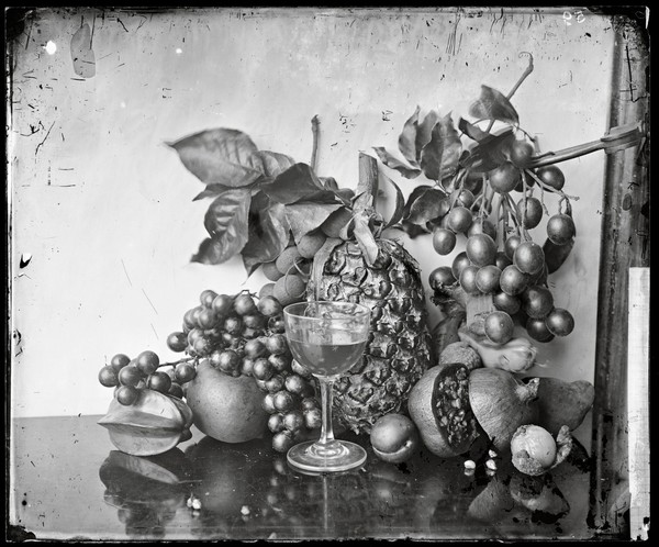 Still life of fruit, Hong Kong. Photograph by John Thomson, 1868/1871.