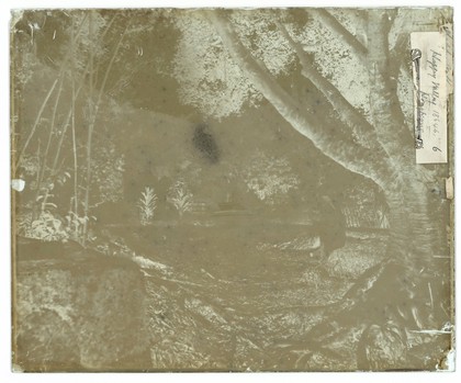 Cemetery, Happy Valley, Hong Kong. Photograph by John Thomson, 1868/1871.