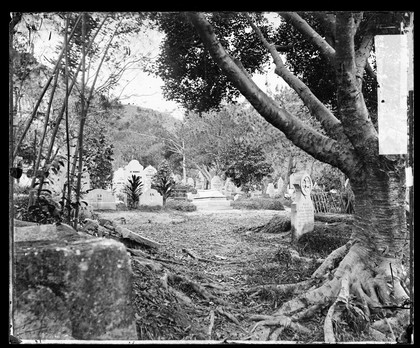 Cemetery, Happy Valley, Hong Kong. Photograph by John Thomson, 1868/1871.