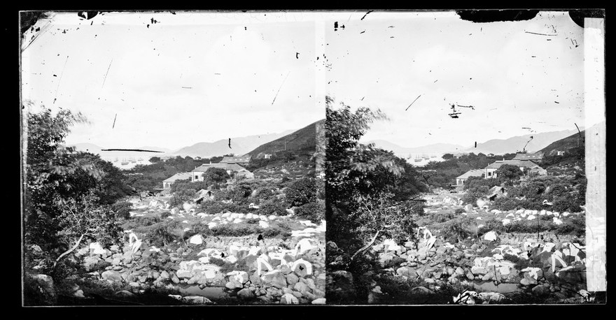 The harbour, Hong Kong. Photograph by John Thomson, 1868/1871.