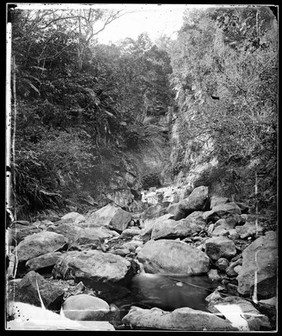 Lalung, Formosa [Taiwan]. Photograph by John Thomson, 1871.