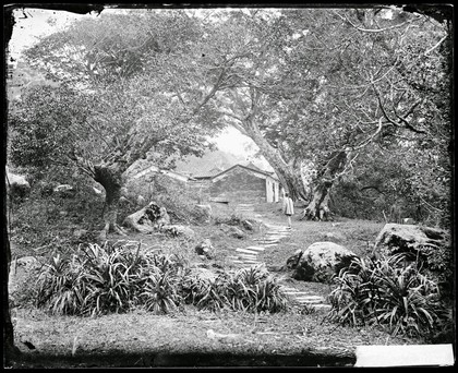 Wang Tong, Kwangtung province, China. Photograph by John Thomson, 1870.